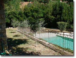 Pool seen from the bottom of the garden staircase