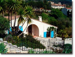 Front entrance of the villa with blue shutters among palms and garden plants