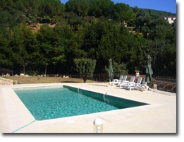 Swimming pool surrounded by trees